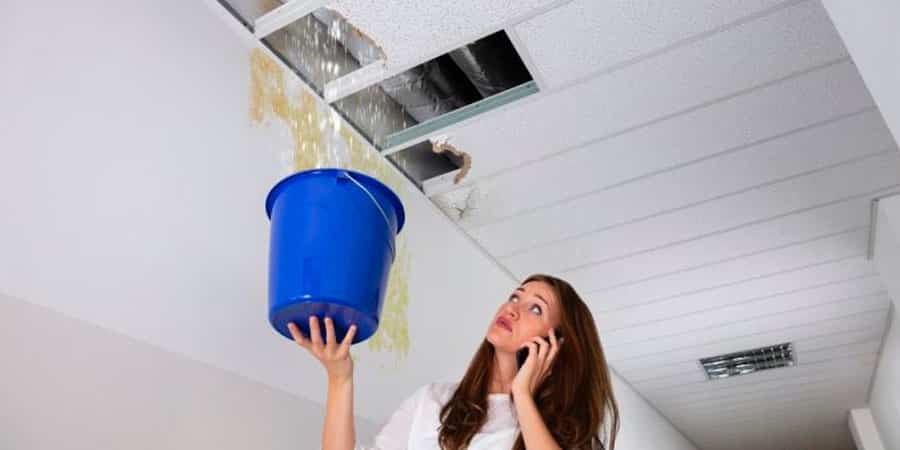 El mayor distribuidor de Fester en la ciudad de México